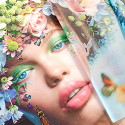 Seidenpapier mit Firmendruck / Digital